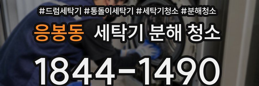 응봉동 세탁기 분해 청소