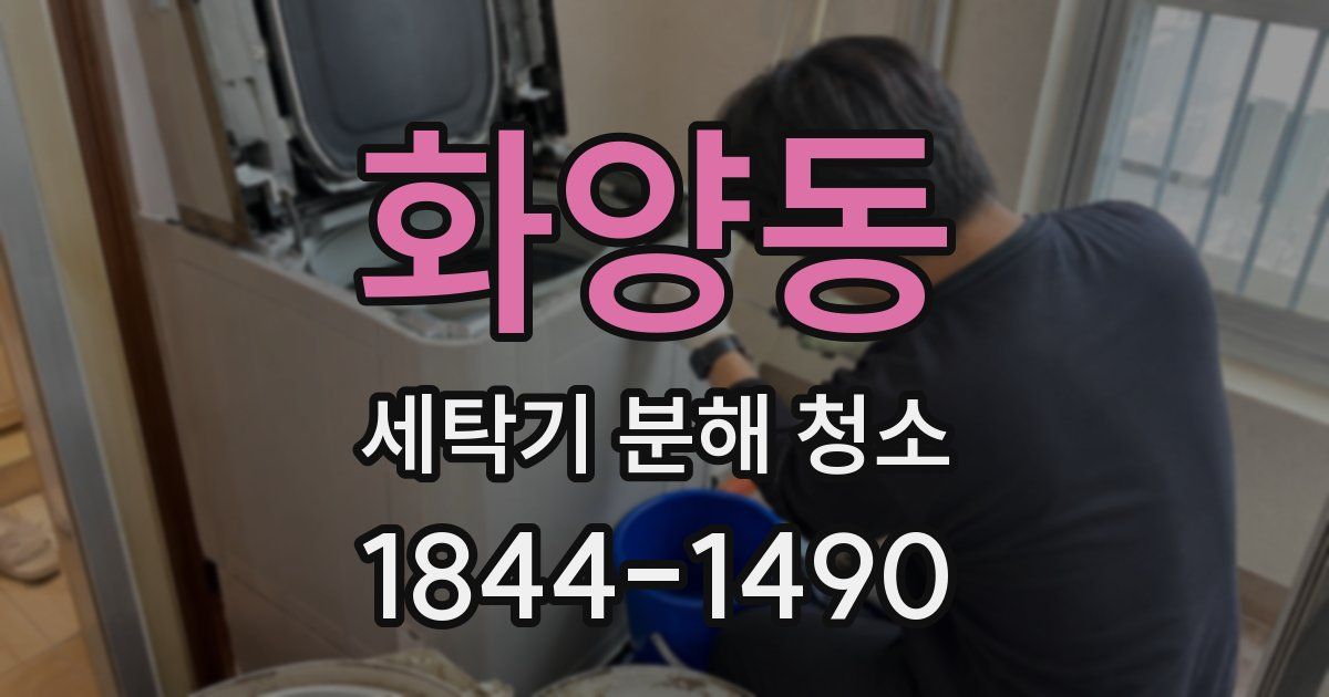 화양동 세탁기 분해 청소