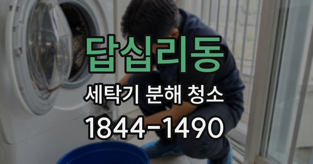 답십리동 세탁기 분해 청소