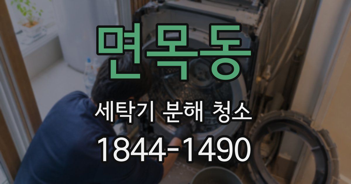 면목동 세탁기 분해 청소