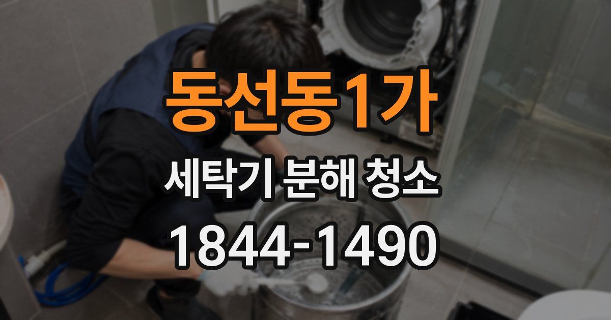동선동1가 세탁기 분해 청소
