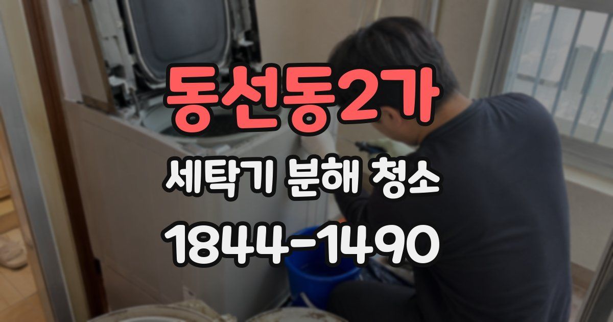 동선동2가 세탁기 분해 청소