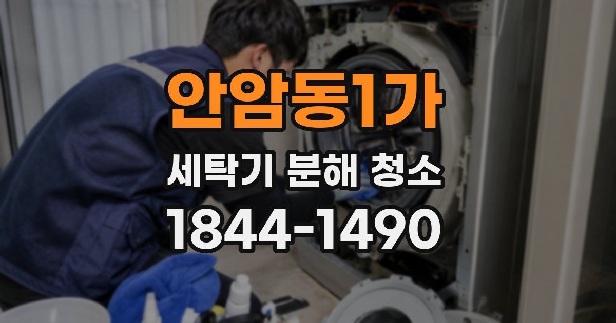 안암동1가 세탁기 분해 청소