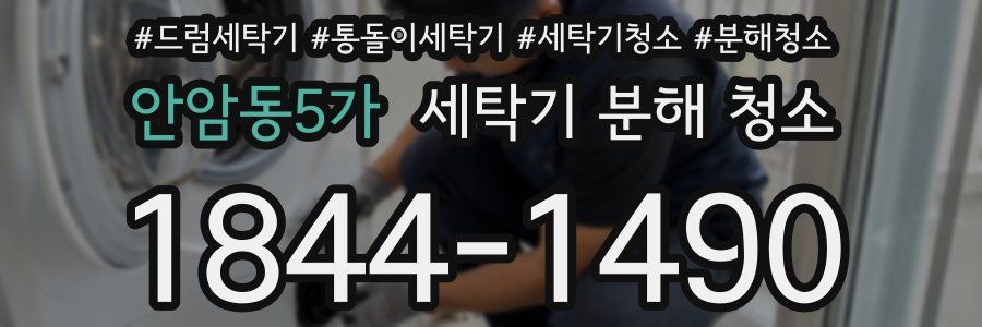 안암동5가 세탁기 분해 청소