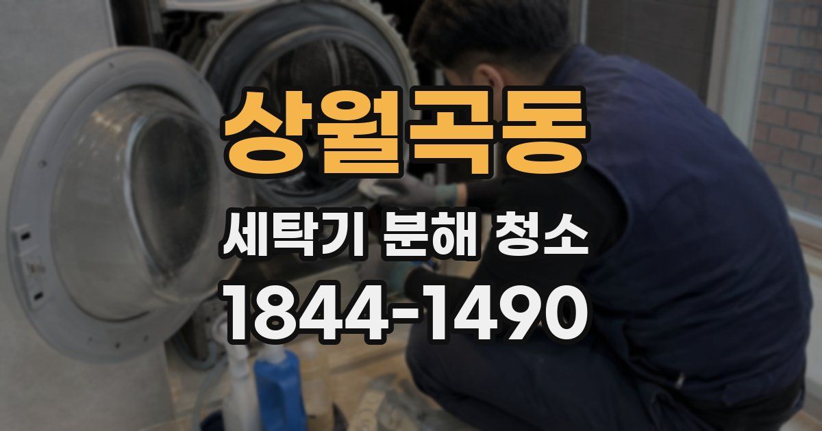 상월곡동 세탁기 분해 청소