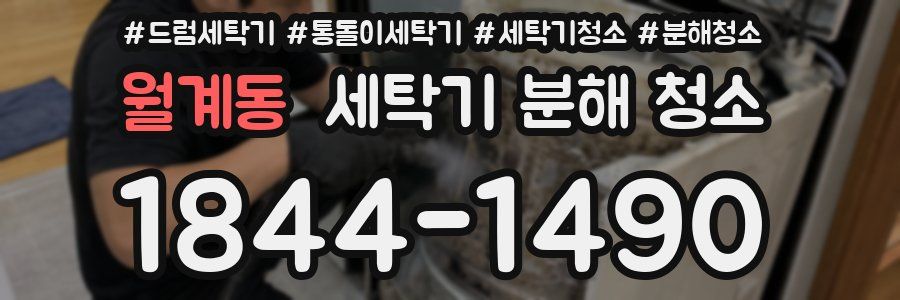 월계동 세탁기 분해 청소
