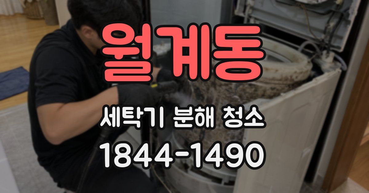 월계동 세탁기 분해 청소