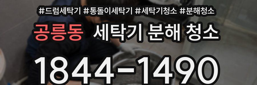 공릉동 세탁기 분해 청소