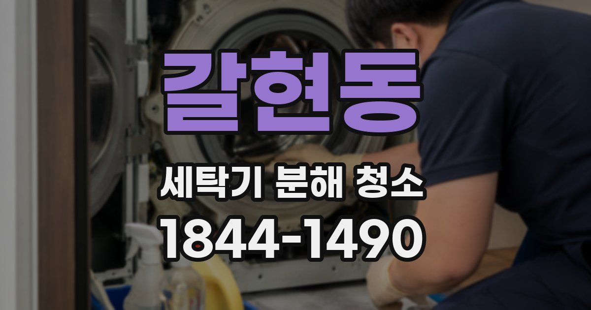 갈현동 세탁기 분해 청소