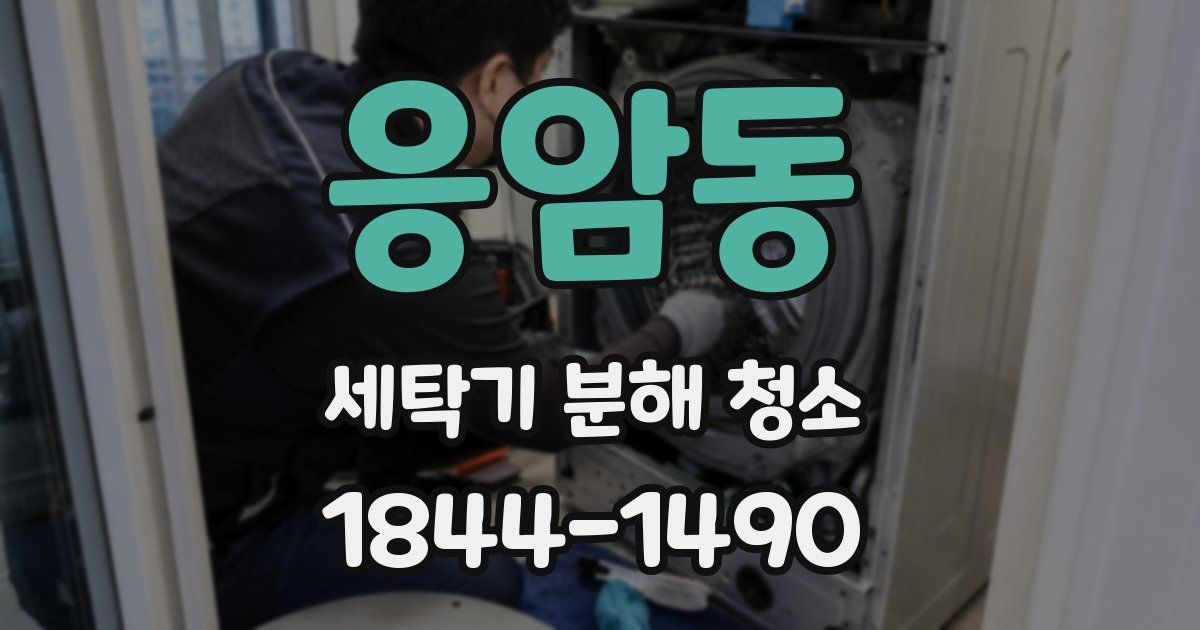 응암동 세탁기 분해 청소