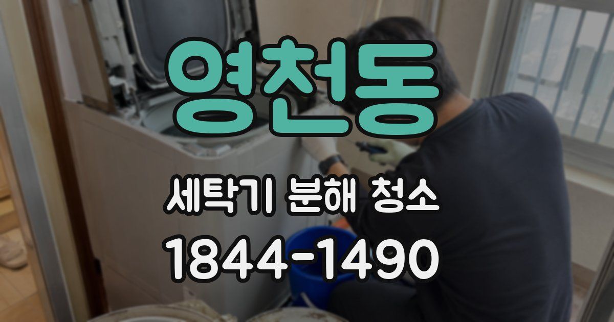 영천동 세탁기 분해 청소