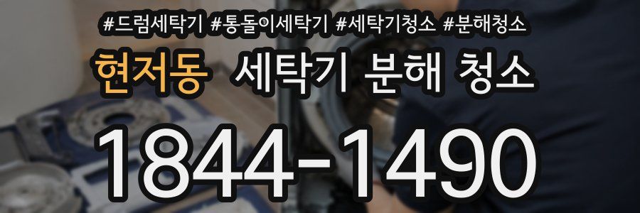 현저동 세탁기 분해 청소