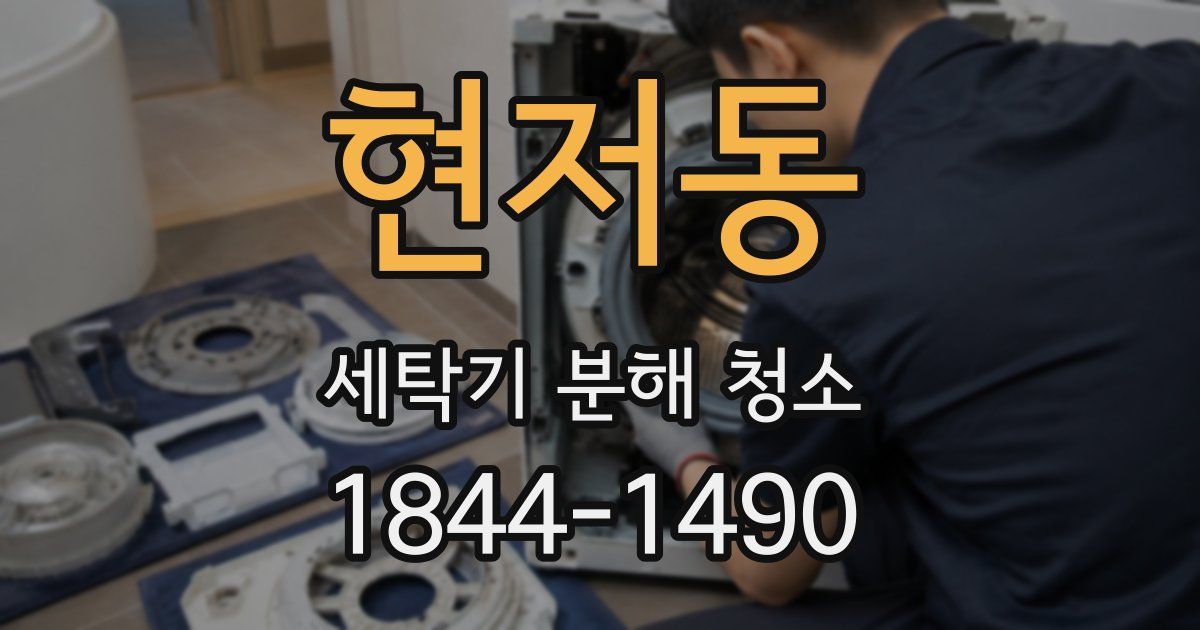 현저동 세탁기 분해 청소