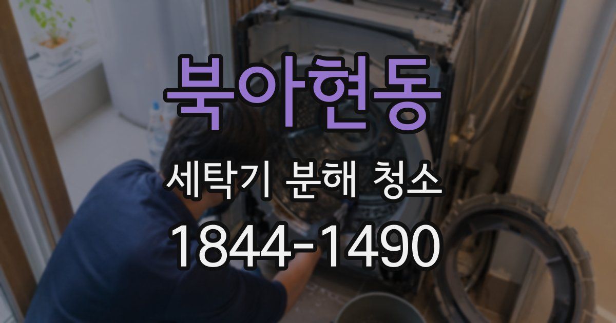 북아현동 세탁기 분해 청소