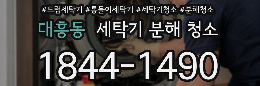 대흥동 세탁기 분해 청소