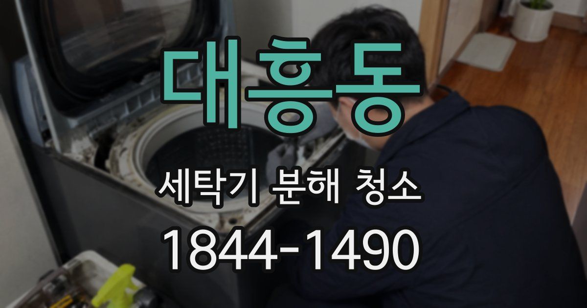 대흥동 세탁기 분해 청소