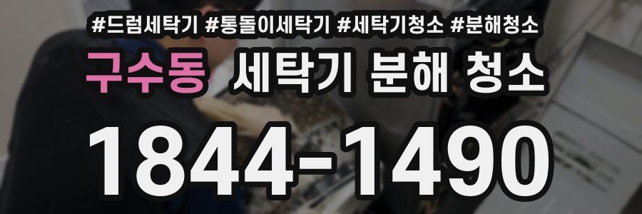 구수동 세탁기 분해 청소
