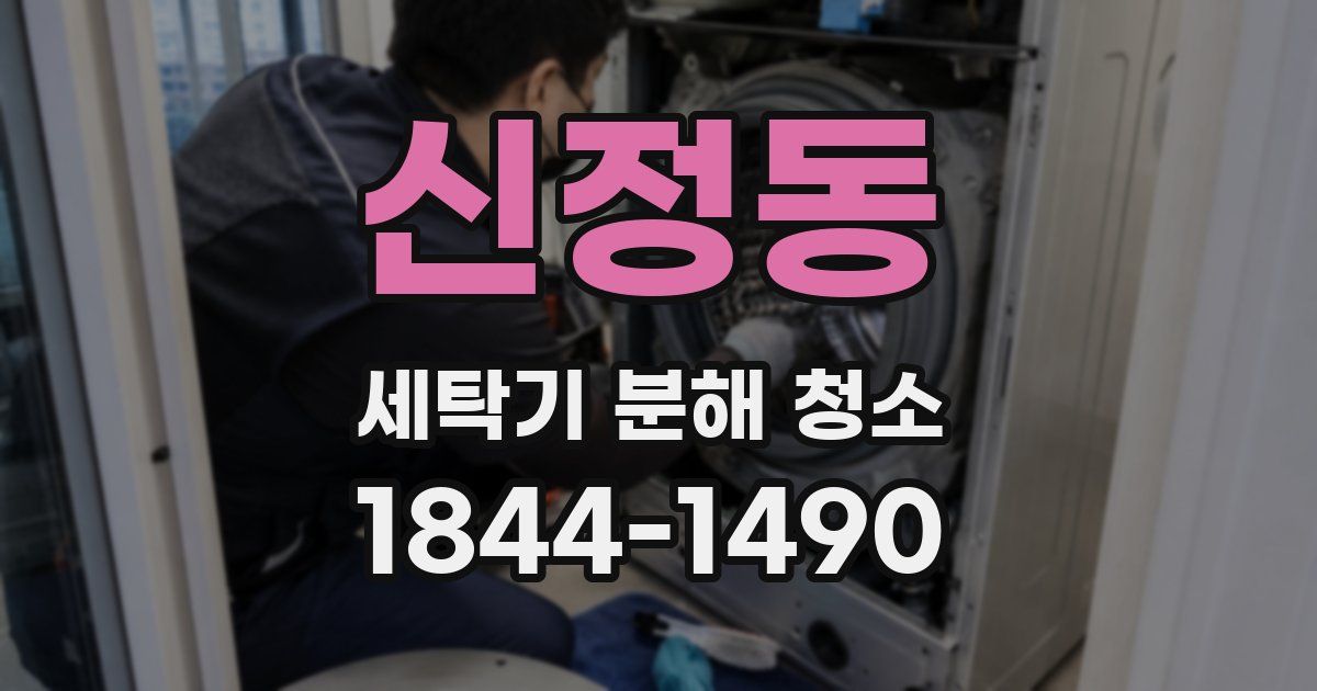 신정동 세탁기 분해 청소
