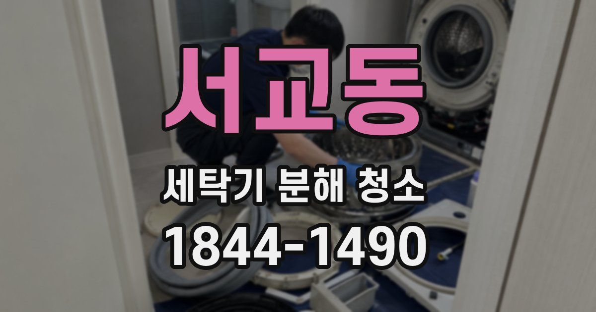 서교동 세탁기 분해 청소
