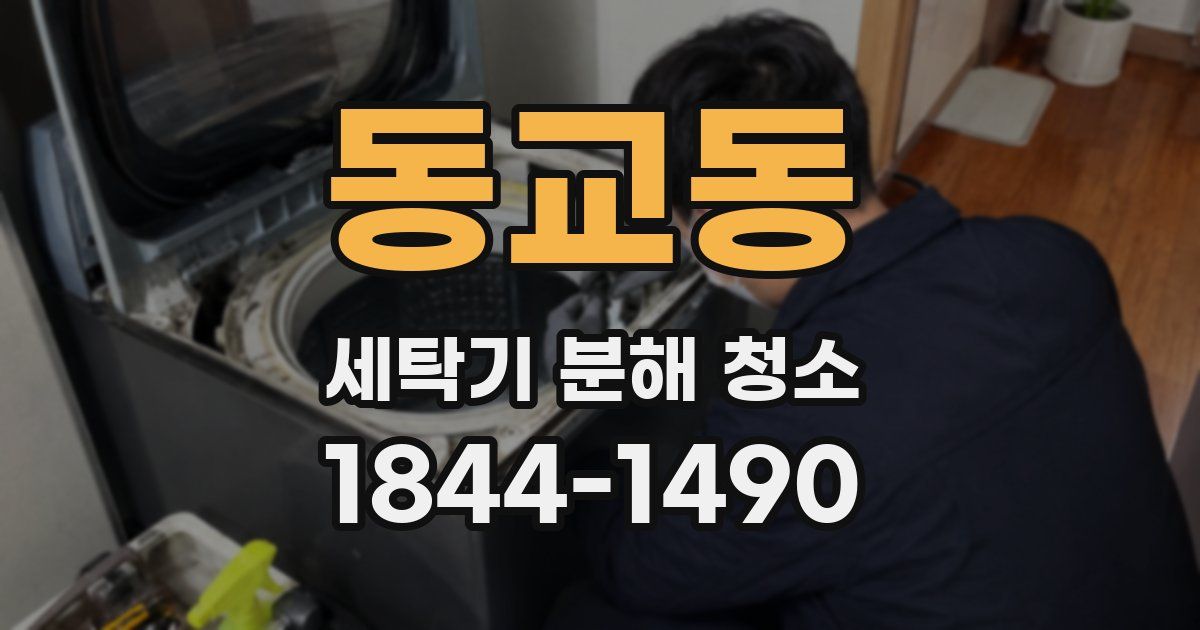 동교동 세탁기 분해 청소