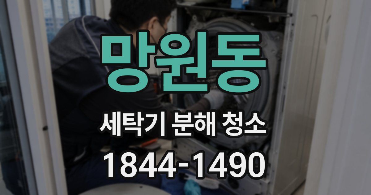 망원동 세탁기 분해 청소