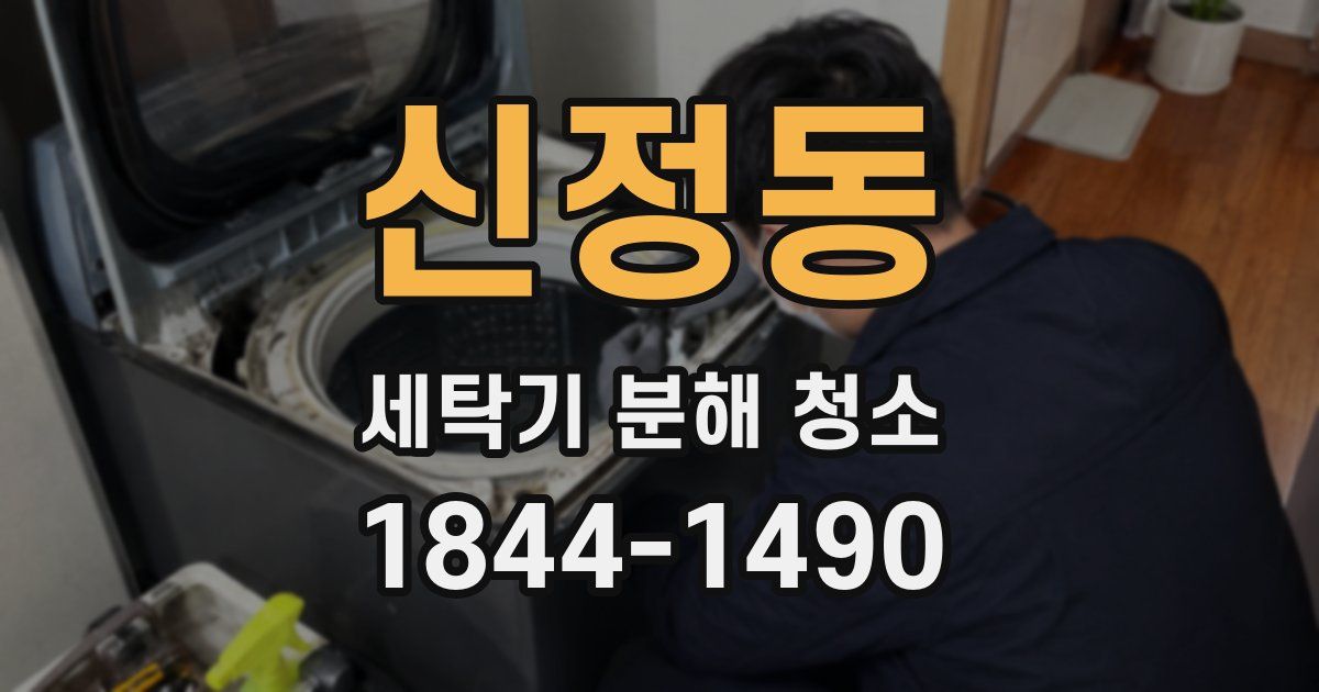 신정동 세탁기 분해 청소