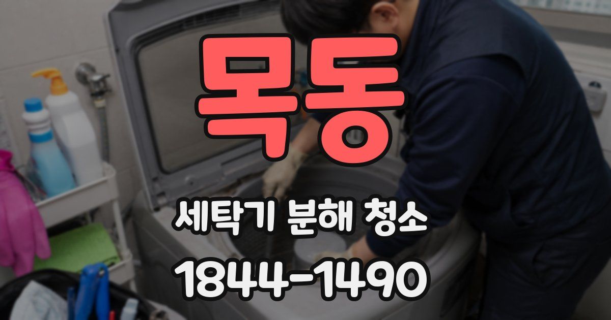 목동 세탁기 분해 청소