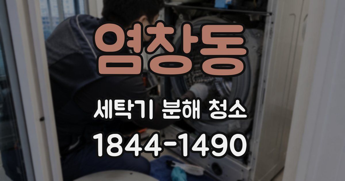 염창동 세탁기 분해 청소