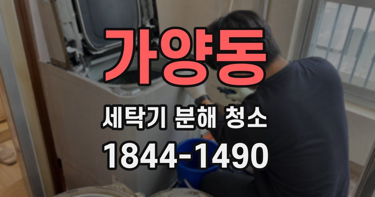 가양동 세탁기 분해 청소