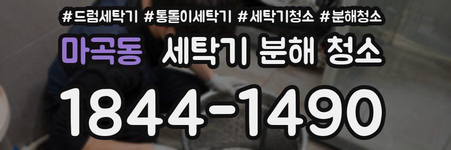 마곡동 세탁기 분해 청소