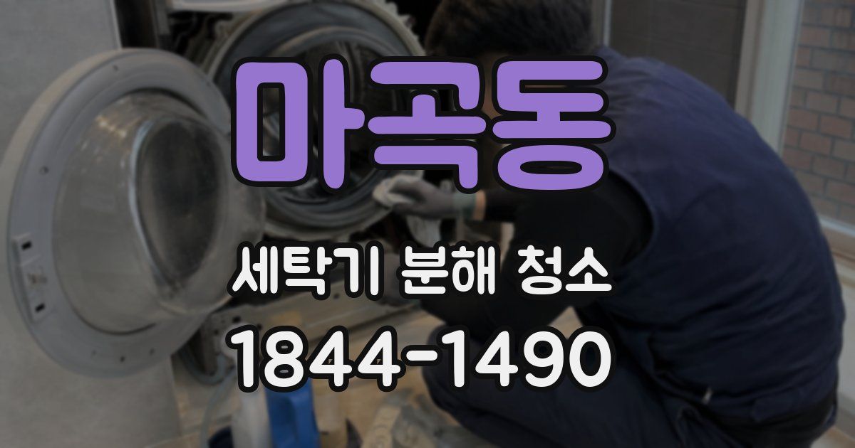 마곡동 세탁기 분해 청소