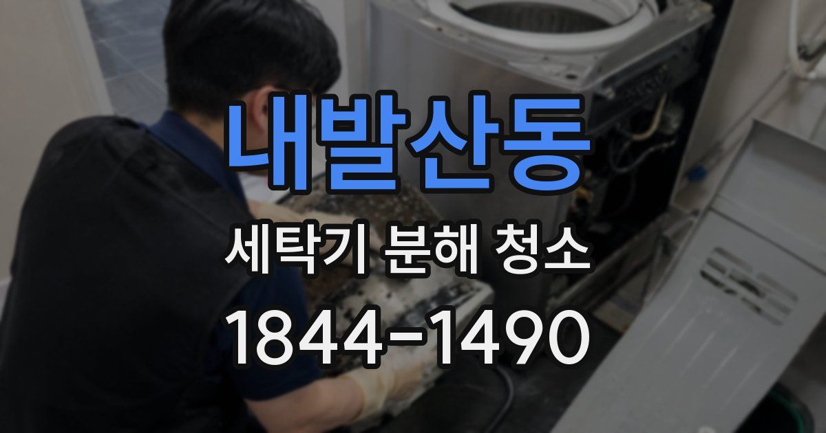 내발산동 세탁기 분해 청소