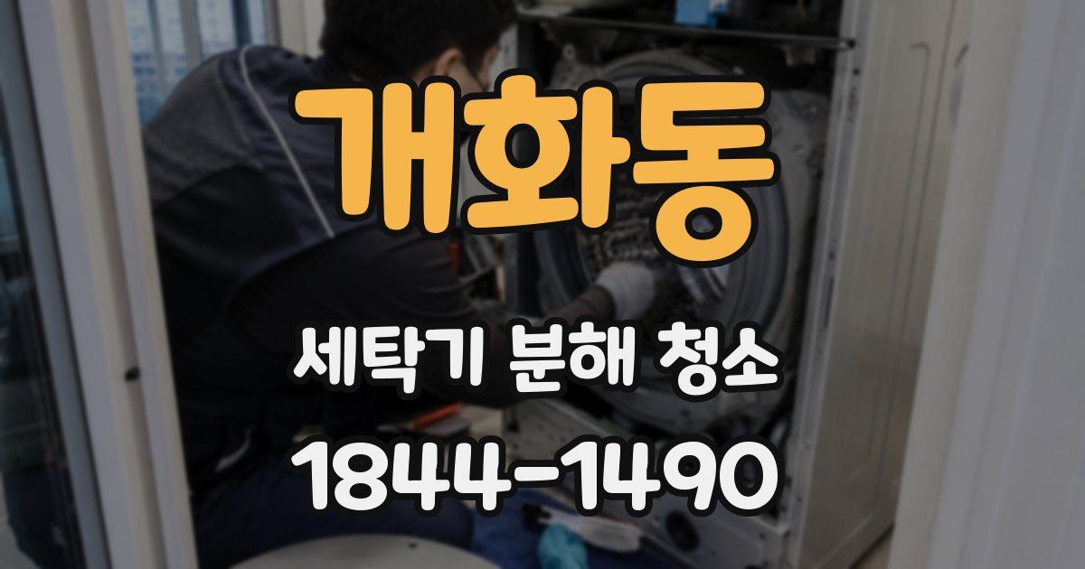 개화동 세탁기 분해 청소