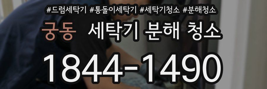 궁동 세탁기 분해 청소