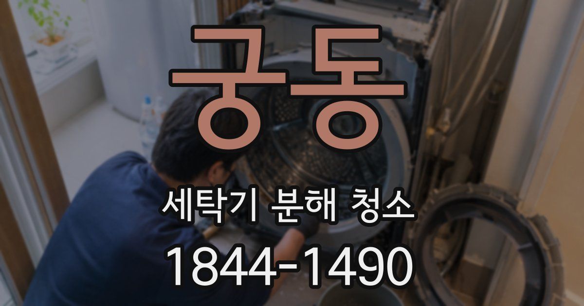 궁동 세탁기 분해 청소