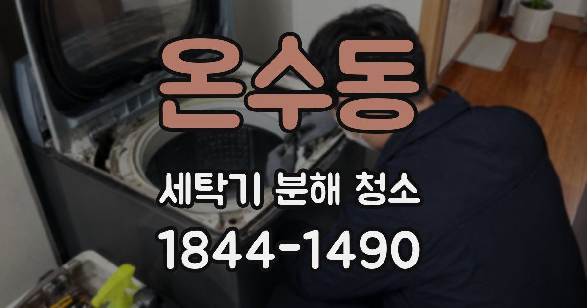 온수동 세탁기 분해 청소