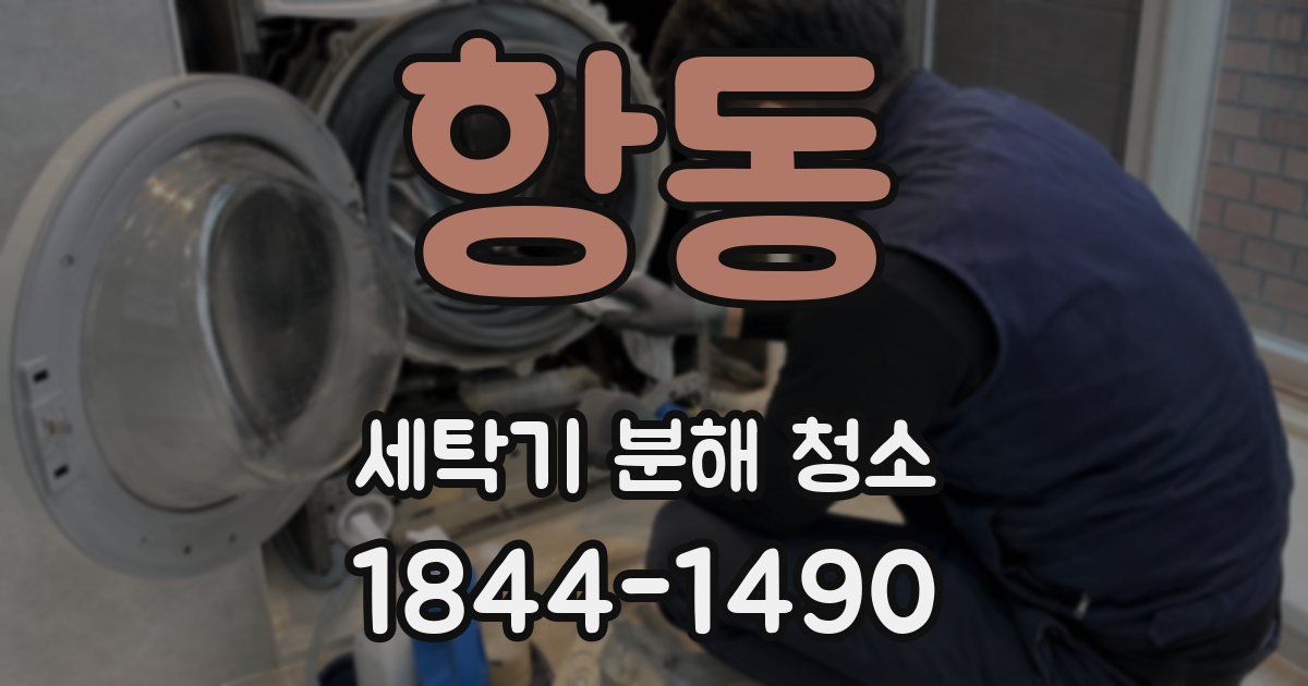 항동 세탁기 분해 청소