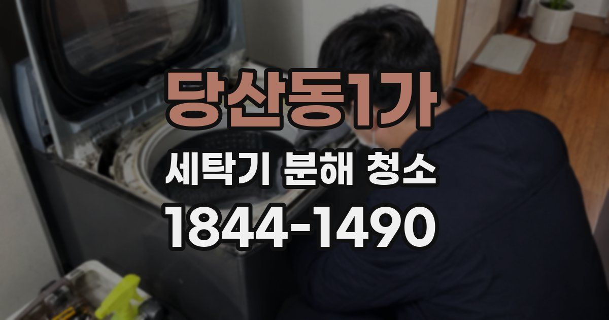 당산동1가 세탁기 분해 청소
