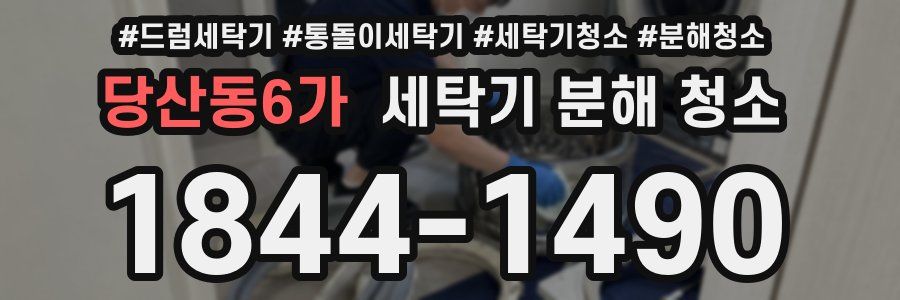 당산동6가 세탁기 분해 청소