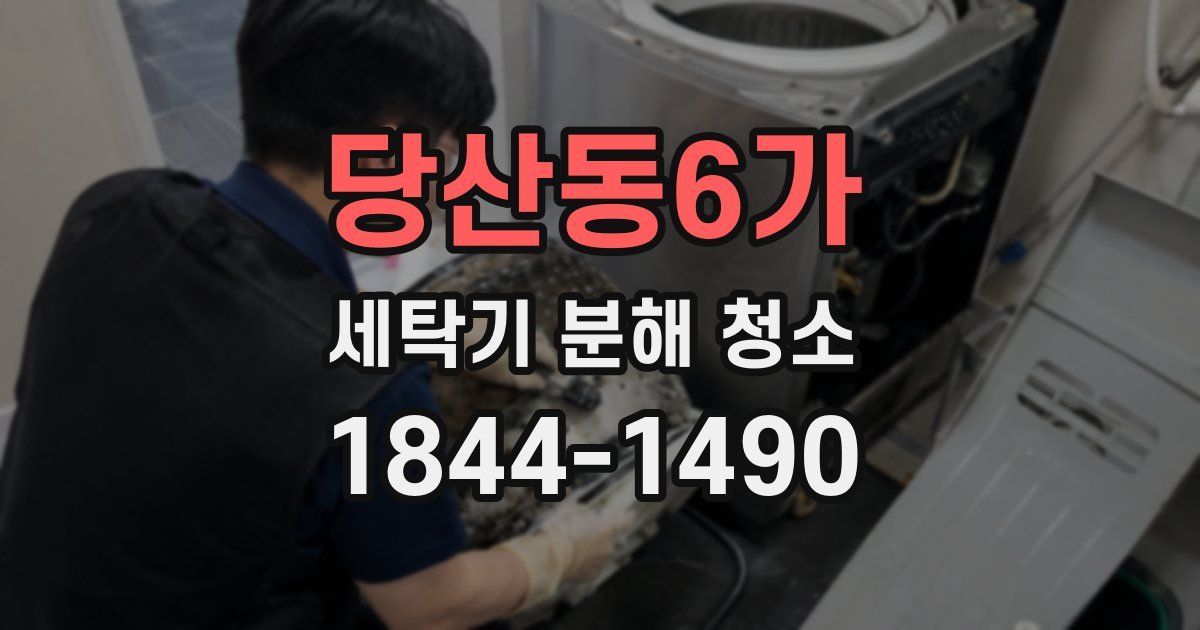 당산동6가 세탁기 분해 청소