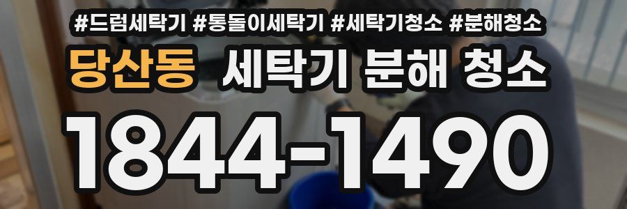 당산동 세탁기 분해 청소