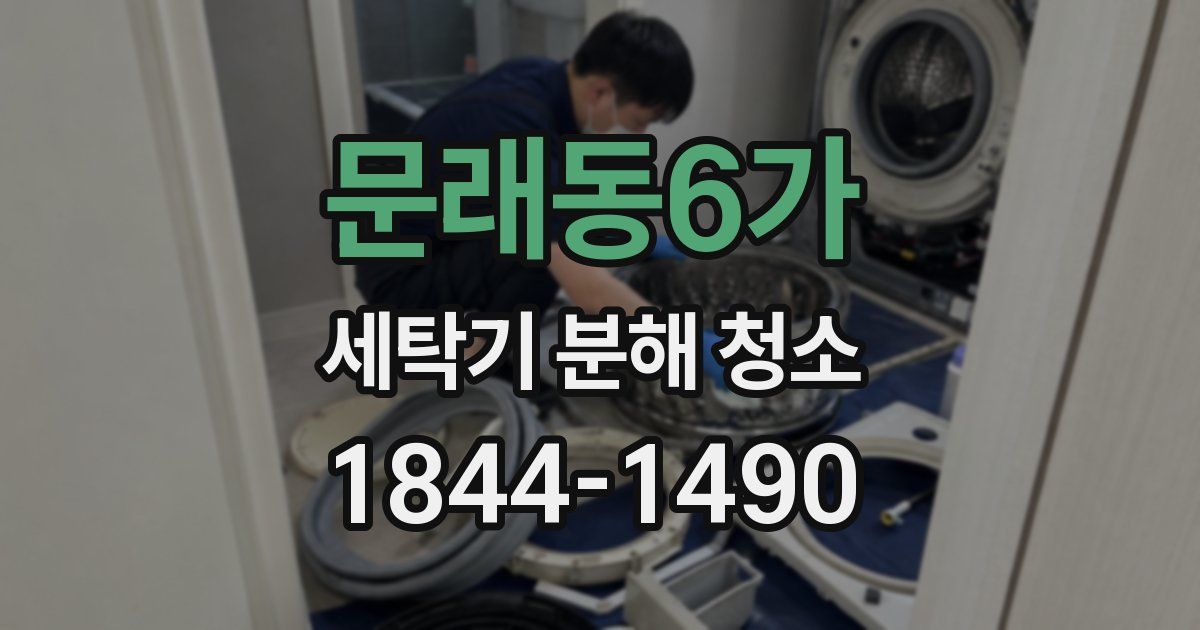 문래동6가 세탁기 분해 청소