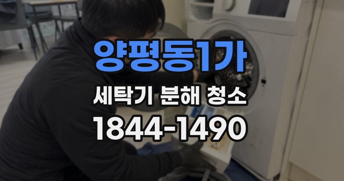 양평동1가 세탁기 분해 청소