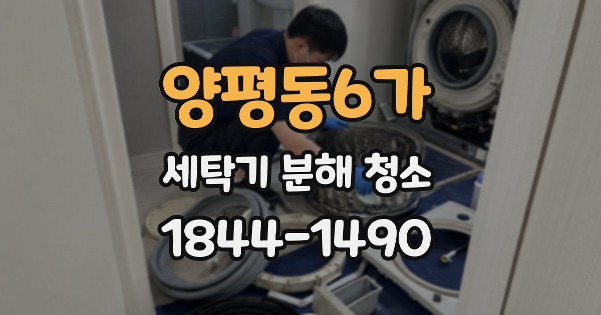 양평동6가 세탁기 분해 청소