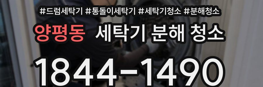 양평동 세탁기 분해 청소