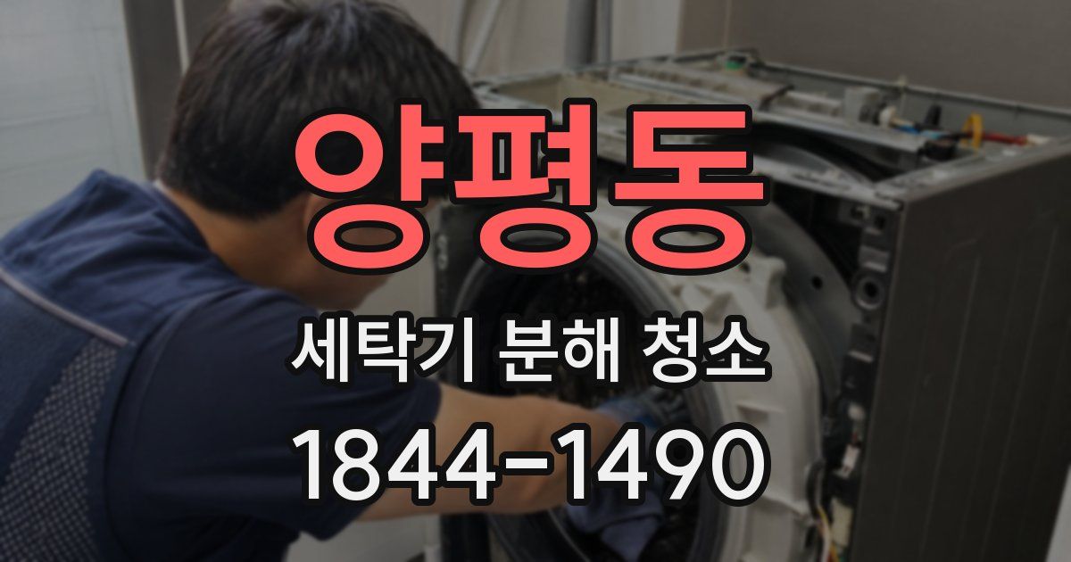 양평동 세탁기 분해 청소