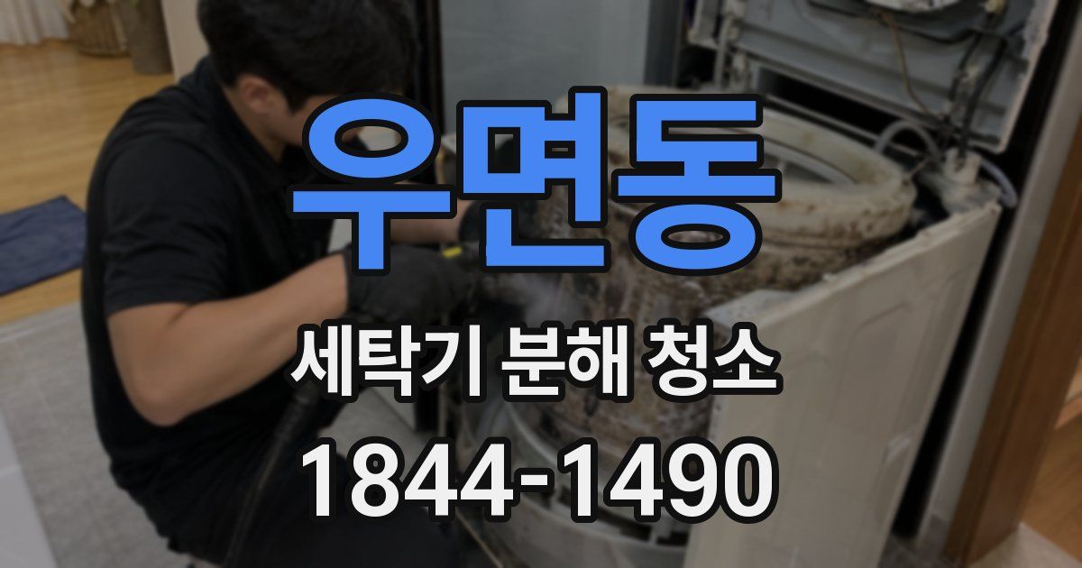 우면동 세탁기 분해 청소