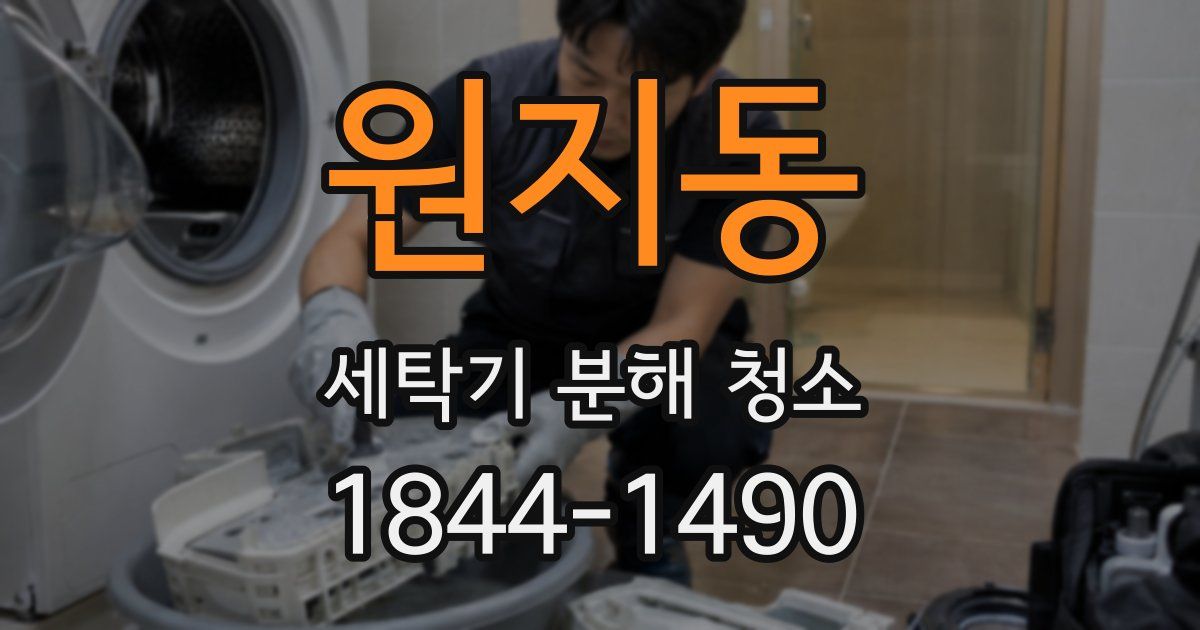 원지동 세탁기 분해 청소