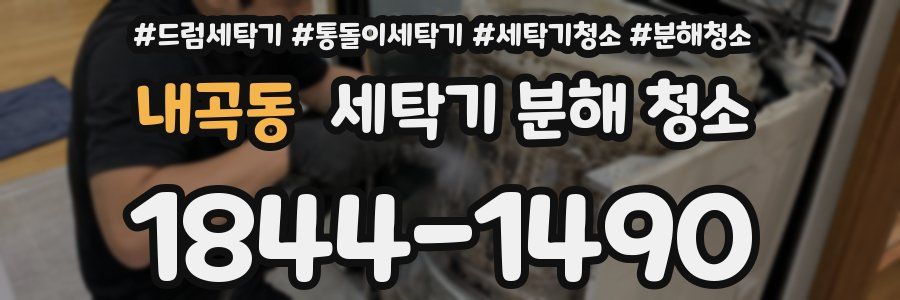 내곡동 세탁기 분해 청소