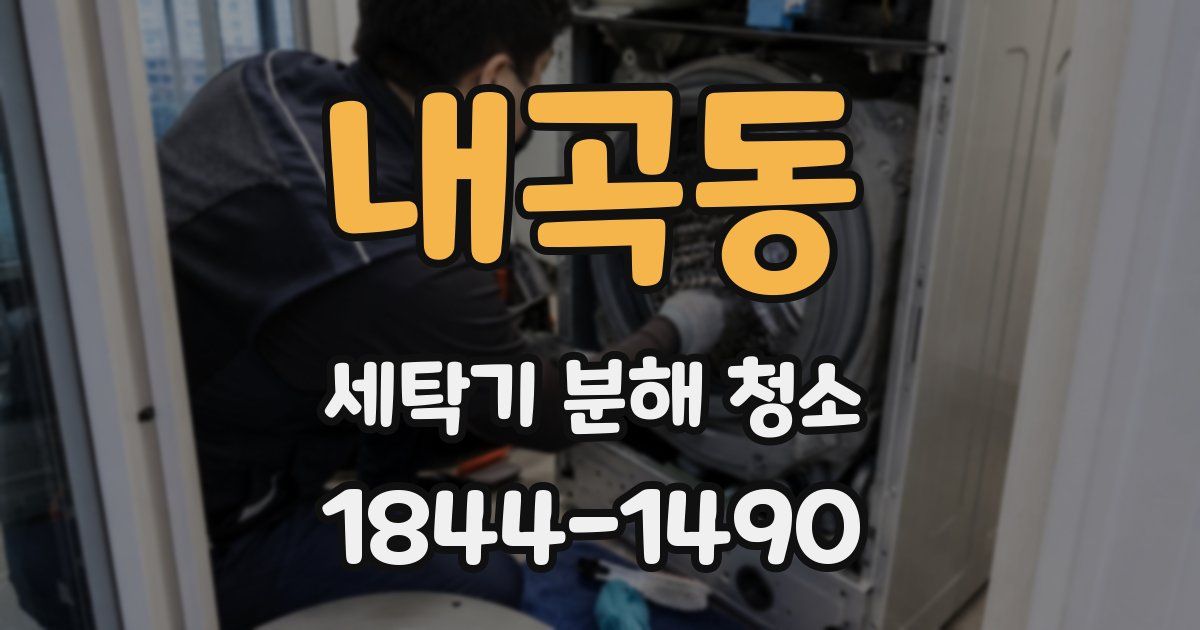 내곡동 세탁기 분해 청소